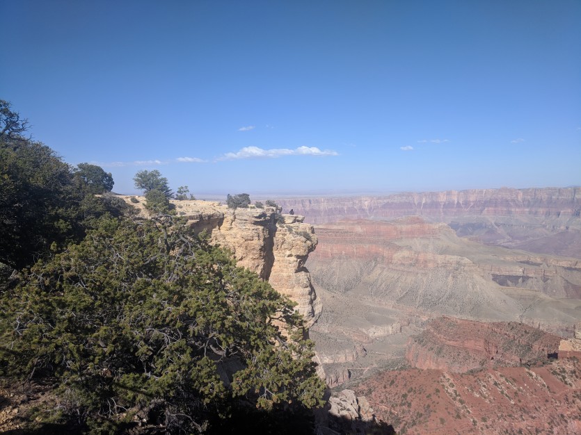 800595458_1566832781.0797.jpg